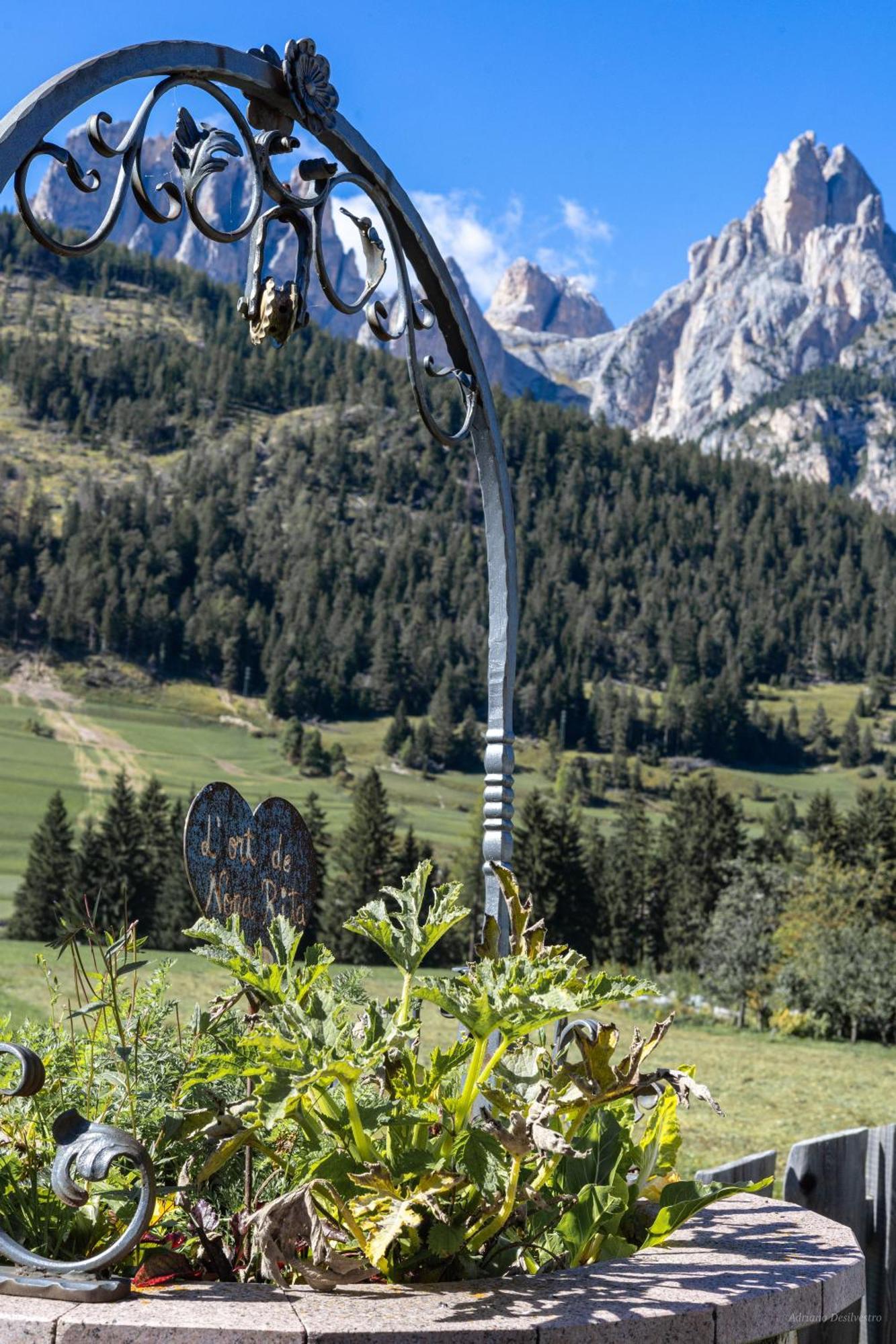 Majon De La Nona Otel Pozza di Fassa Dış mekan fotoğraf
