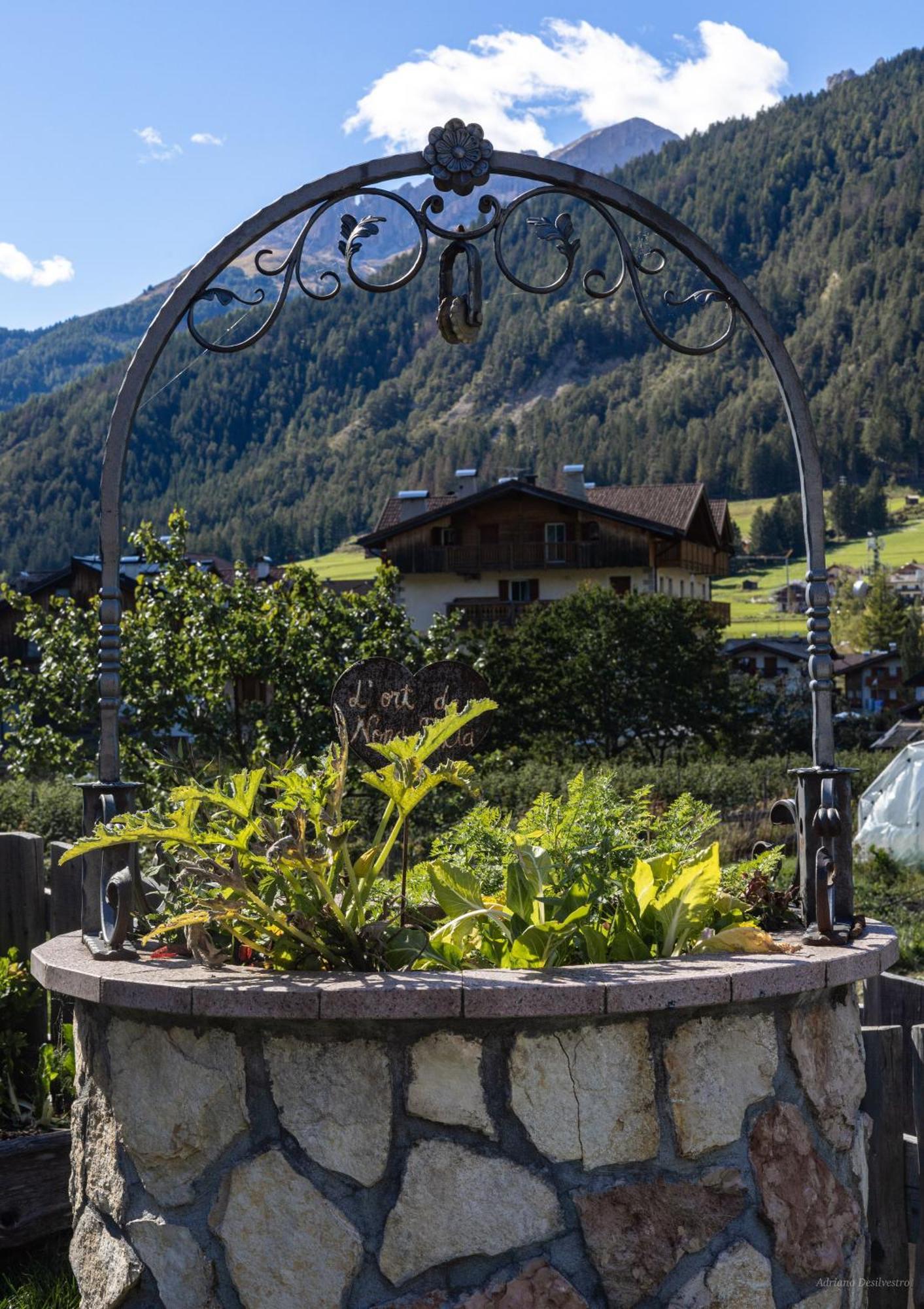 Majon De La Nona Otel Pozza di Fassa Dış mekan fotoğraf