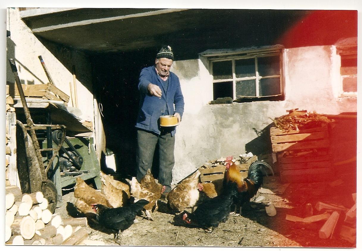 Majon De La Nona Otel Pozza di Fassa Dış mekan fotoğraf